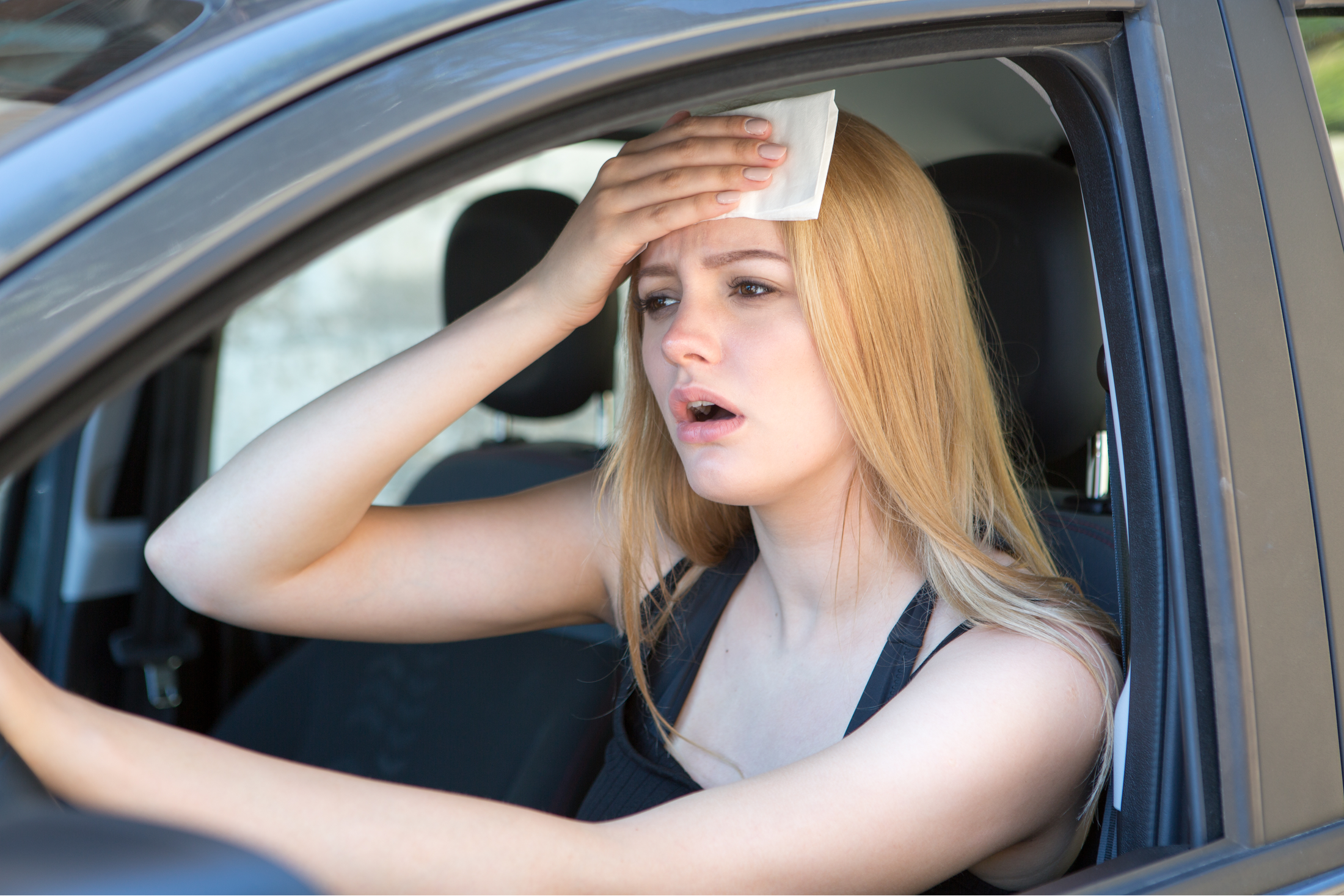 14 Ways to Keep Your Car Cool in the Summer